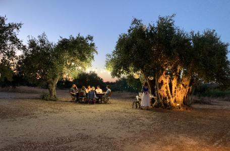 Visit and Tasting Bio Olive oil far
